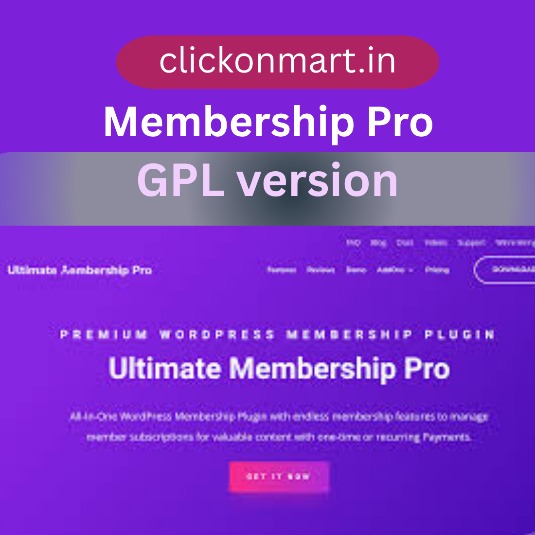 Your paragraph text (14)